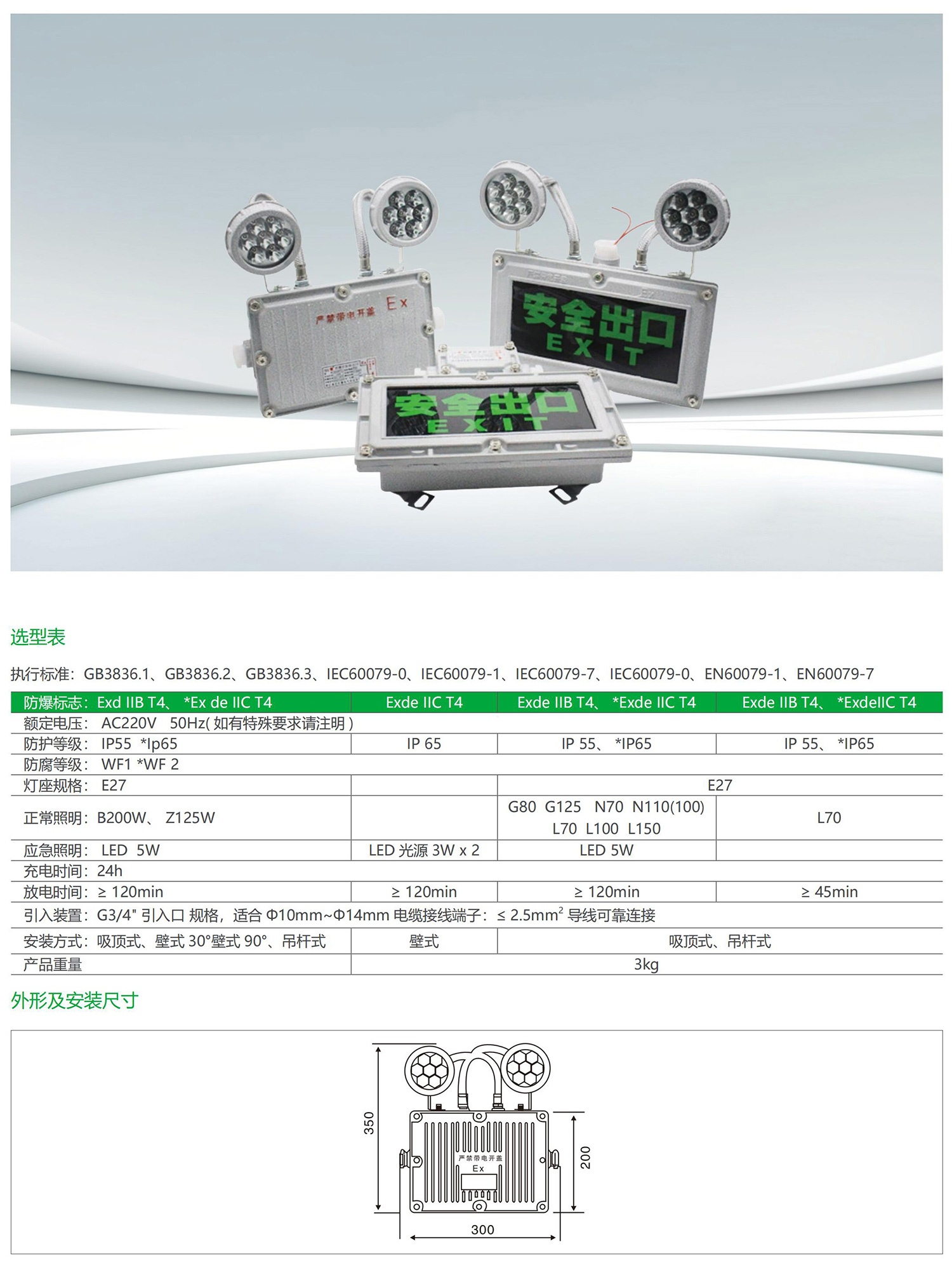 霖阳防爆印刷稿_13_05.jpg